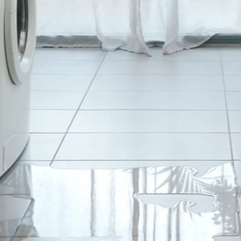Appliance Leak Cleanup in Tangent, OR