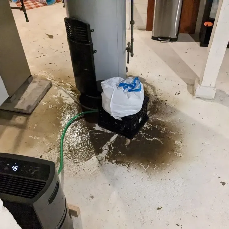 Sewage Backup Cleanup Service in Tangent, OR